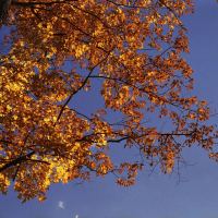 Fire in the Sky by Ken Mullinix