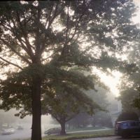 A Foggy Morning by Ken Mullinix