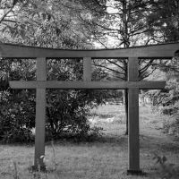 Film photograph by 1982wildcatfan
