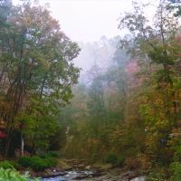 Fall on the Upper Tallulah River by 1982wildcatfan