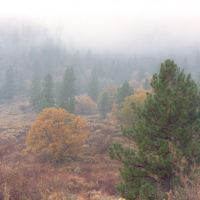 Fall Hiking in the Angeles National Forest by 1982wildcatfan