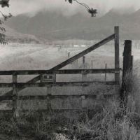 Punalu'u Valley gate by Mick