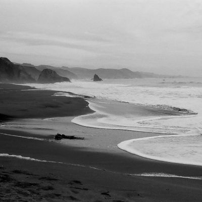 November - Sonoma Coast, CA — Kodak T-Max 100, Pentax Spotmatic