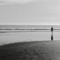 Solitude - Sonoma Coast, CA by FogdogPhoto