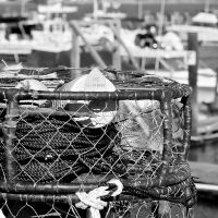 Crab Pot - Bodega Bay, CA by FogdogPhoto