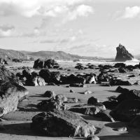 Pinnacle Gulch Beach - Sonoma Coast, CA by FogdogPhoto