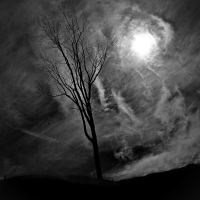 Evil Skies by gosier57