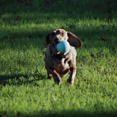 My ball