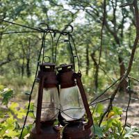 Lanterns by Terry McDaniel