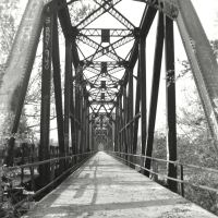 Carpenter’s Bluff Bridge by Terry McDaniel
