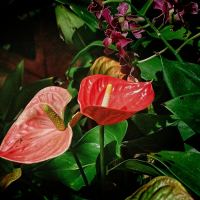 Photograph by MarkM