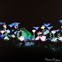 Lanterns by rguzmanphoto