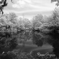 Reflected Silence by rguzmanphoto