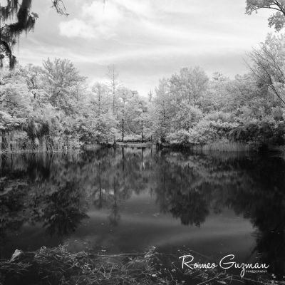 Film photograph by rguzmanphoto — Rollei Infrared 400, Hasselblad 500CM