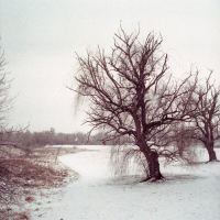 Rembering how cold it was that day by thinbegin