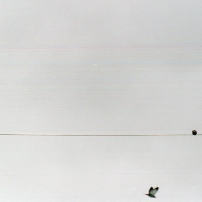 Flying Musical Notes