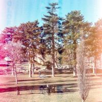 People at the park by thinbegin