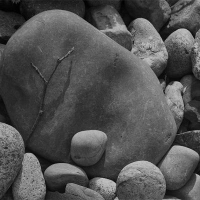 A Twig and a Rock