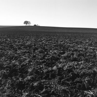 A Plowed Field — Kodak Gold 200
