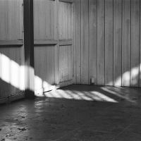 Photograph by Gary Duplantier