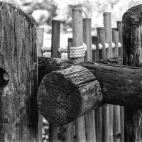 Photograph by Gary Duplantier