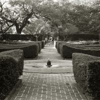 Photograph by Gary Duplantier