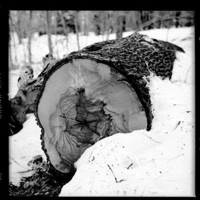Hasselblad 80mm f2.8