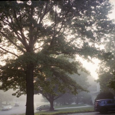 A Foggy Morning