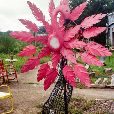 Pink Flamingo