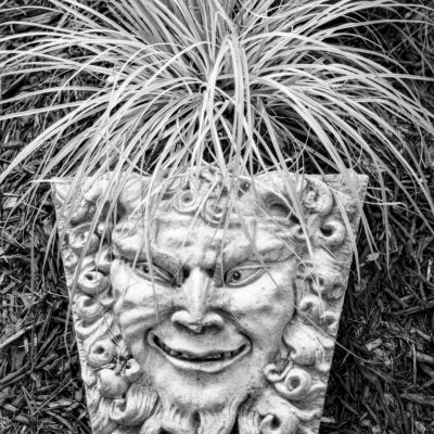 Bad Hair Day