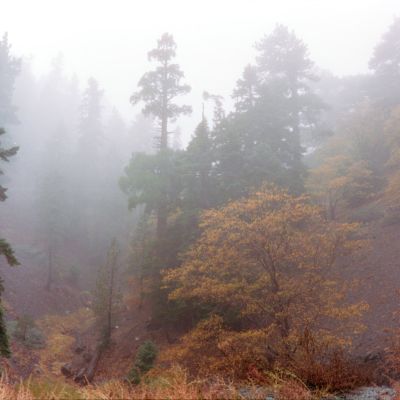 Fall Hike in the Angeles National Forest