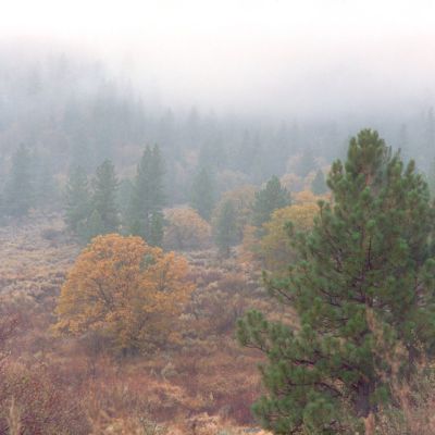 Fall Hiking in the Angeles National Forest