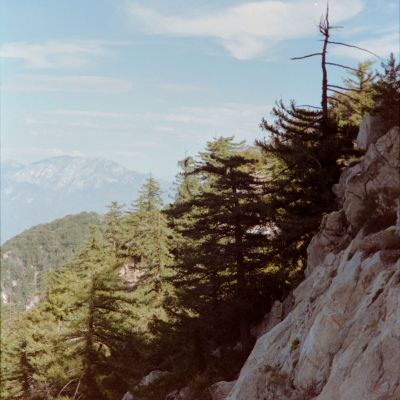 Hiking the Angeles National Forest