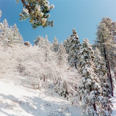 Angeles National Forest in Winter