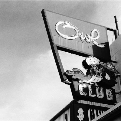 the owl II