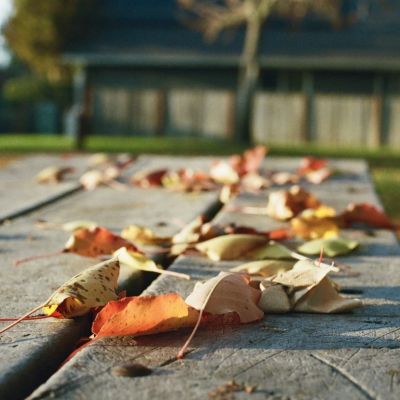 Fall - Napa, CA