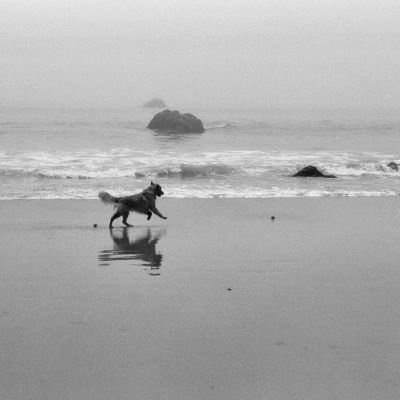 Orvie - Pinnacle Gulch Beach, CA