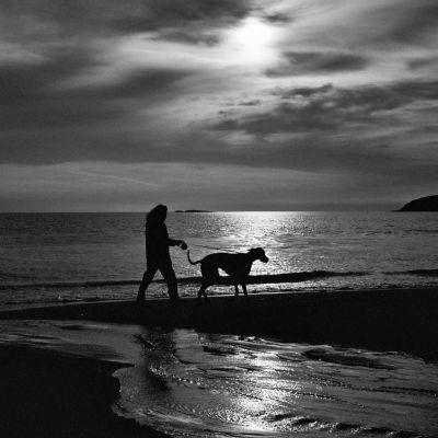 Dog Walk - Bodega Bay, CA