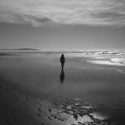 Low Tide - Sonoma Coast, CA