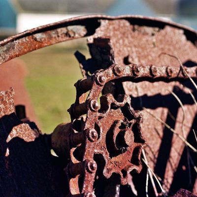 Rust - Pierce Point Ranch, CA