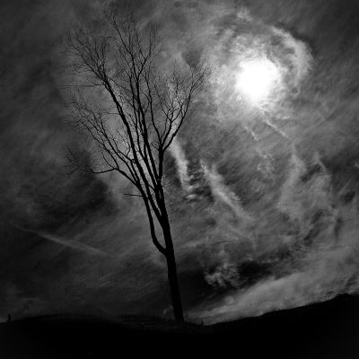 Evil Skies