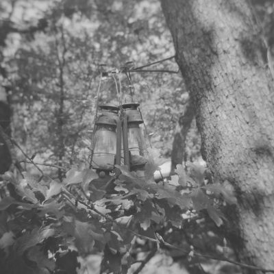 Tree lights