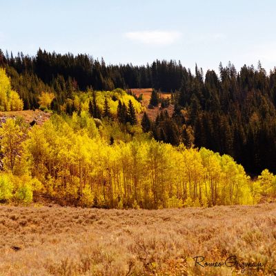 Fall Colors Beartooth Hwy
