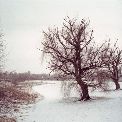 Rembering how cold it was that day
