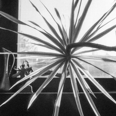 Shattered by sunlight