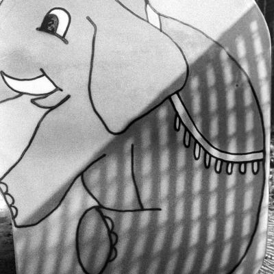 Nellie the Elephant caught in a Net