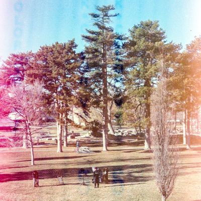 People at the park