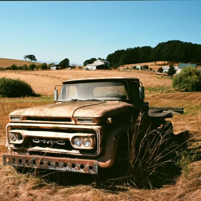 Left in the Field