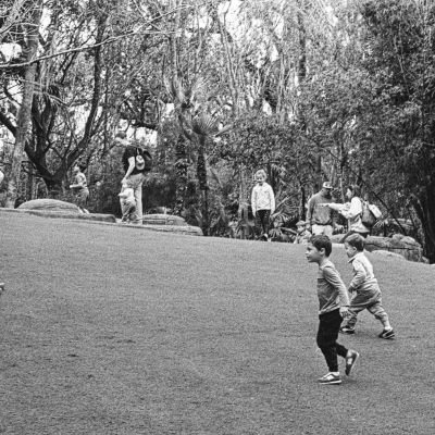 Saturday in the Park