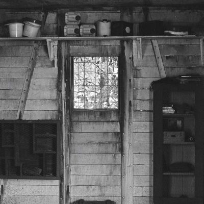 Film photograph by nolaphoto